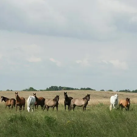 Gospodarstwo agroturystyczne Ekoturystyka Nowina