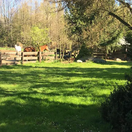 Gospodarstwo agroturystyczne Ekoturystyka Nowina *