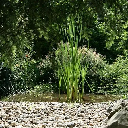 Gospodarstwo agroturystyczne Ekoturystyka Nowina Nowina (Warmian-Masurian)