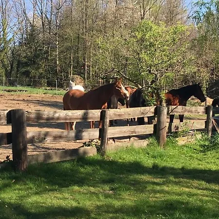 בית חווה Ekoturystyka Nowina *