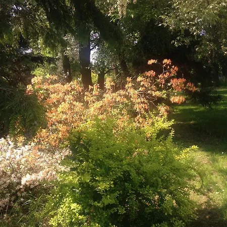 Ekoturystyka Nowina Nowina (Warmian-Masurian)