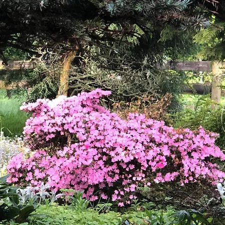 Gospodarstwo agroturystyczne Ekoturystyka Nowina Nowina (Warmian-Masurian)