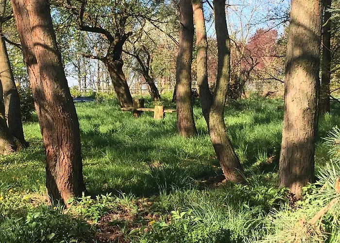 Ekoturystyka Nowina Farm stay Nowina (Warmian-Masurian)