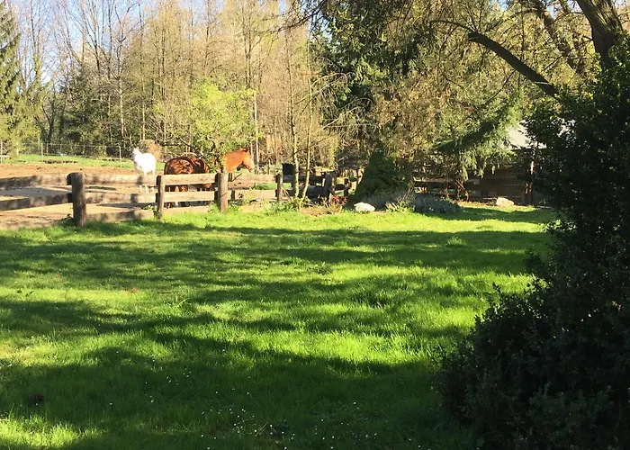 Farm stay Ekoturystyka Nowina *