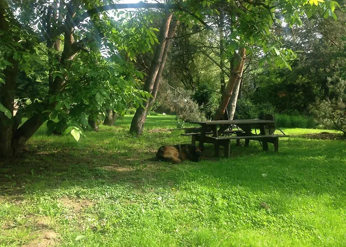 Ekoturystyka Nowina * Nowina (Warmian-Masurian)