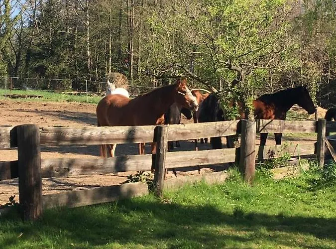 Farm stay Ekoturystyka Nowina *