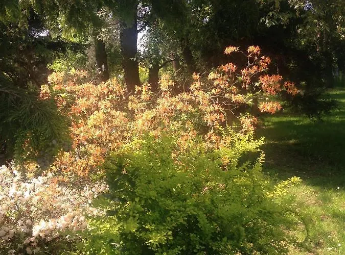 Ekoturystyka Nowina Nowina (Warmian-Masurian)