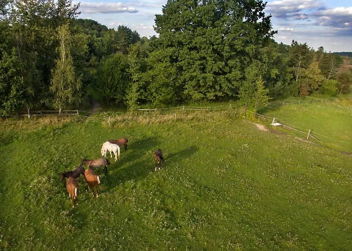 Ekoturystyka Nowina *