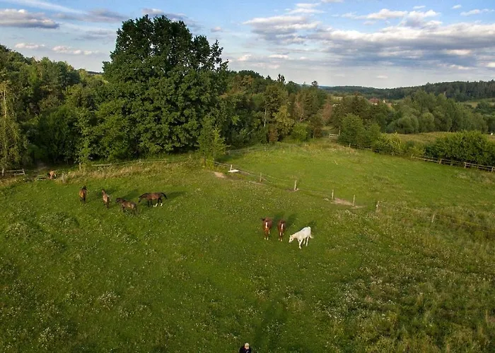 Ekoturystyka Nowina Farm stay *