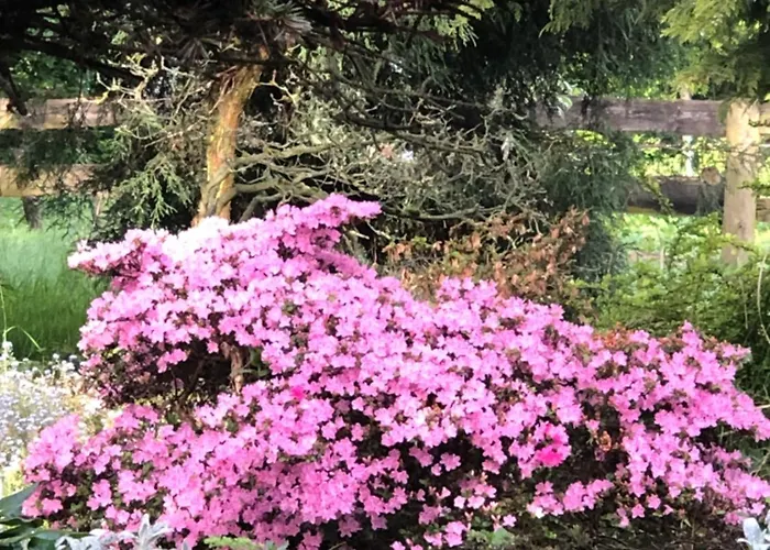 Farm stay Ekoturystyka Nowina Nowina (Warmian-Masurian)